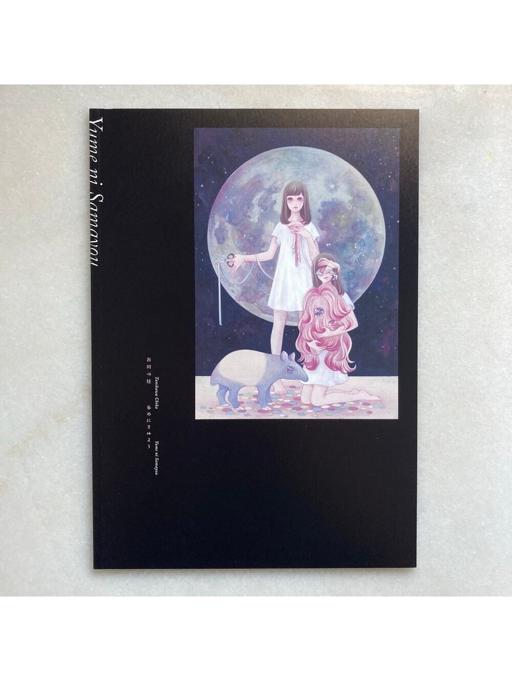 Wandering to Dream Chika Tanikawa Photo Japanese Art Book Zine Anime Japan